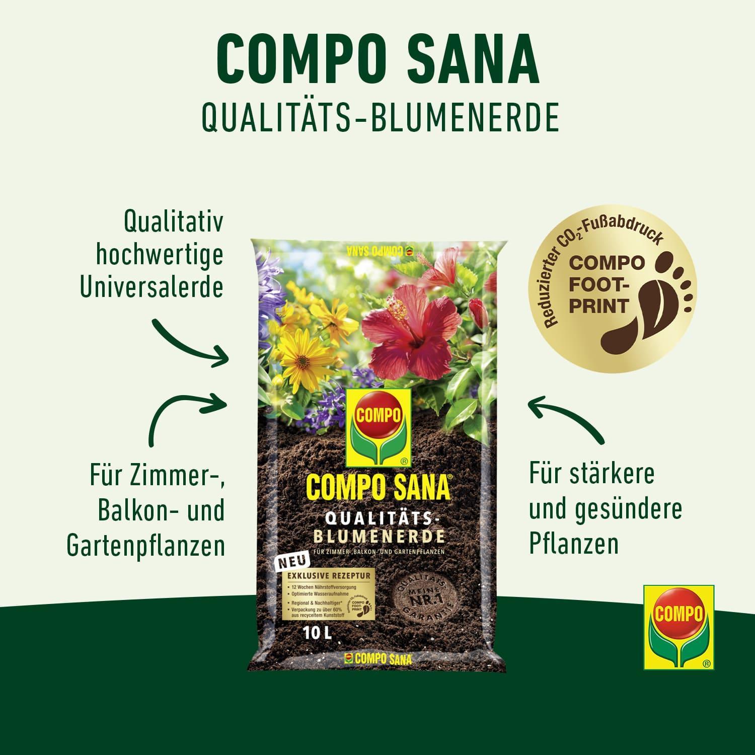 quinoa saatgut bio kaufen biozentrale Quinoa weiß main image 1