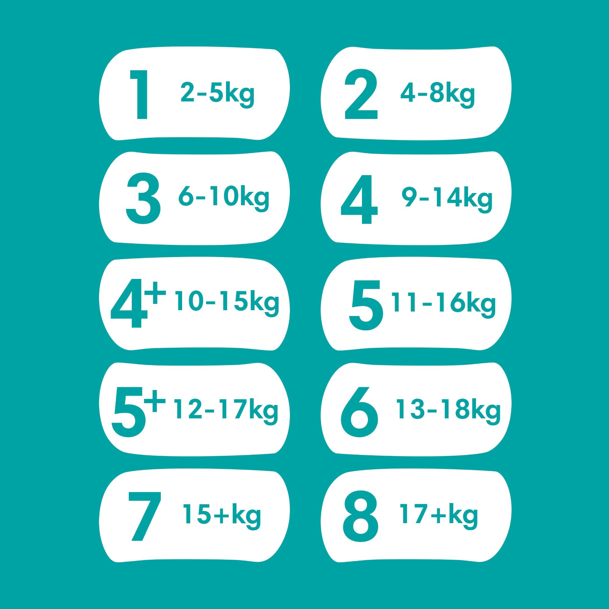 Pampers Baby-Dry Gr.6 Extra Large 13-18kg (148 STK) Monatsbox