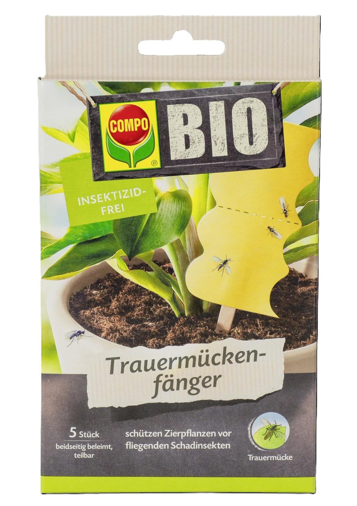 gekeimte brokkolisamen bio Bio Brokkolisamen Gekeimt – VITALOVE main image 1