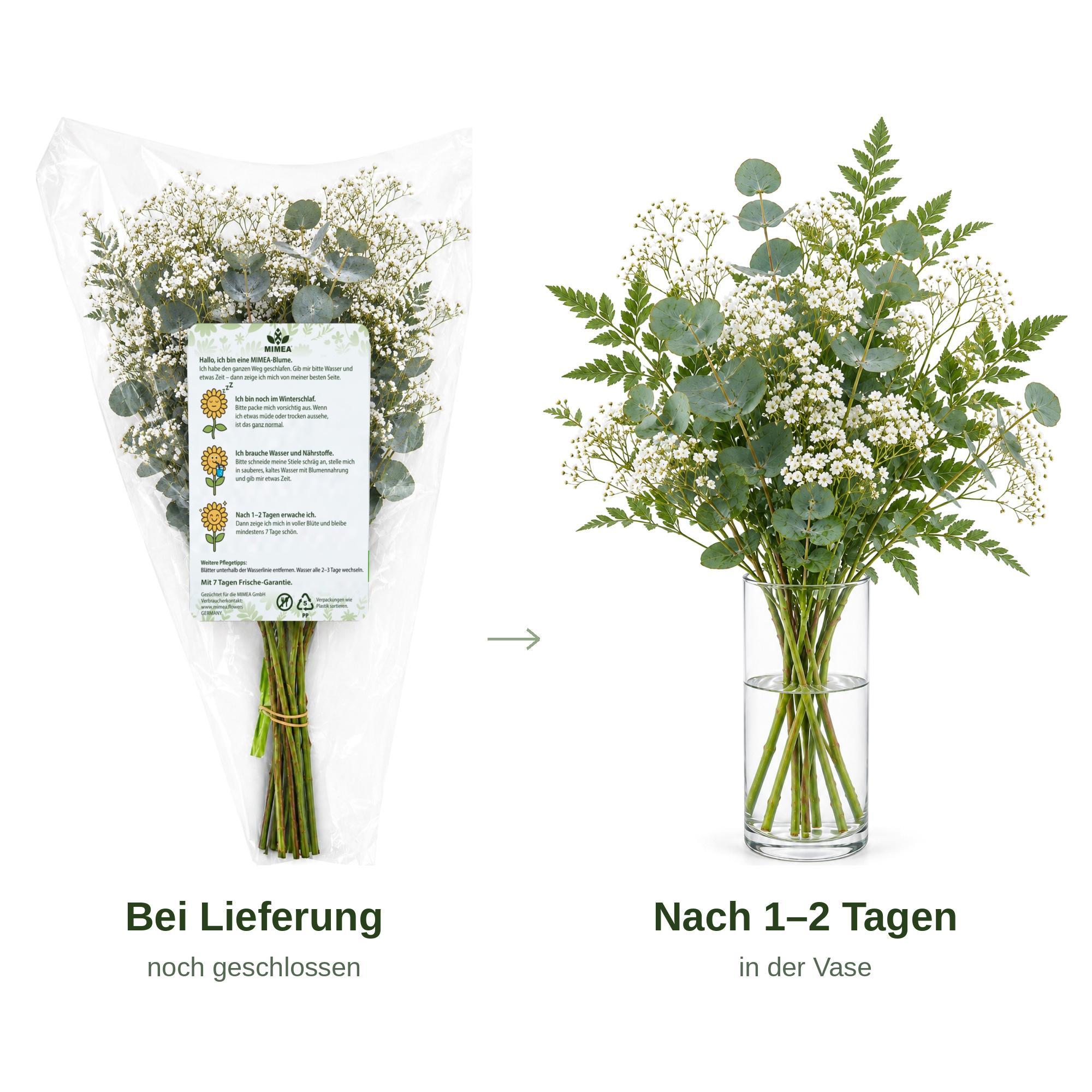 Disteln, Strauß