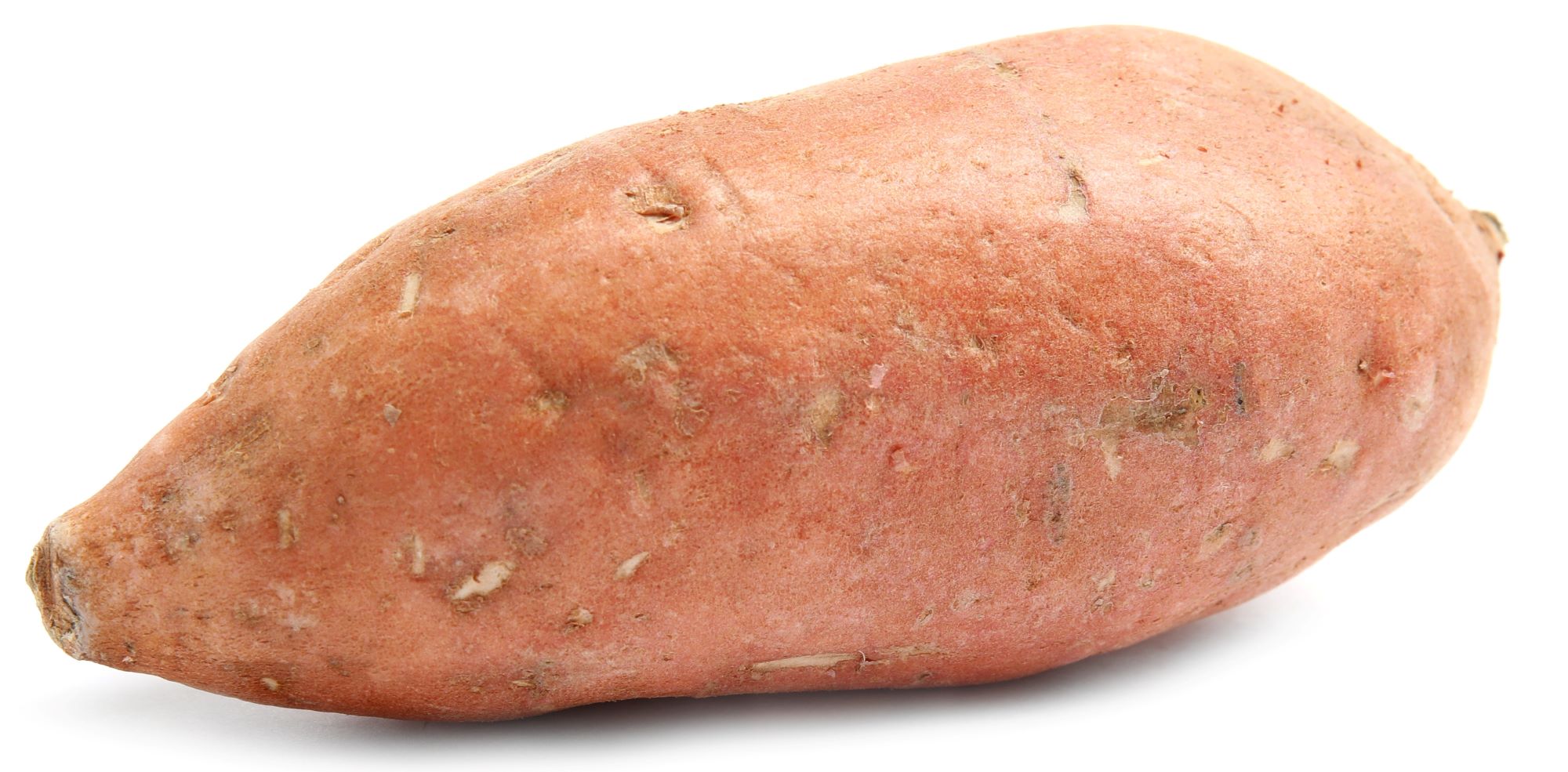 BIO Süßkartoffel, 1 Stk.