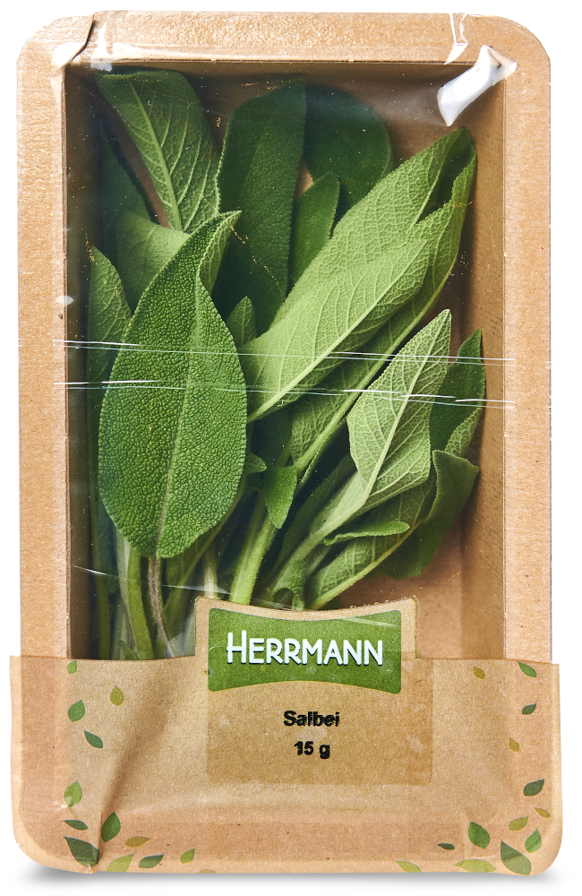 Salbei